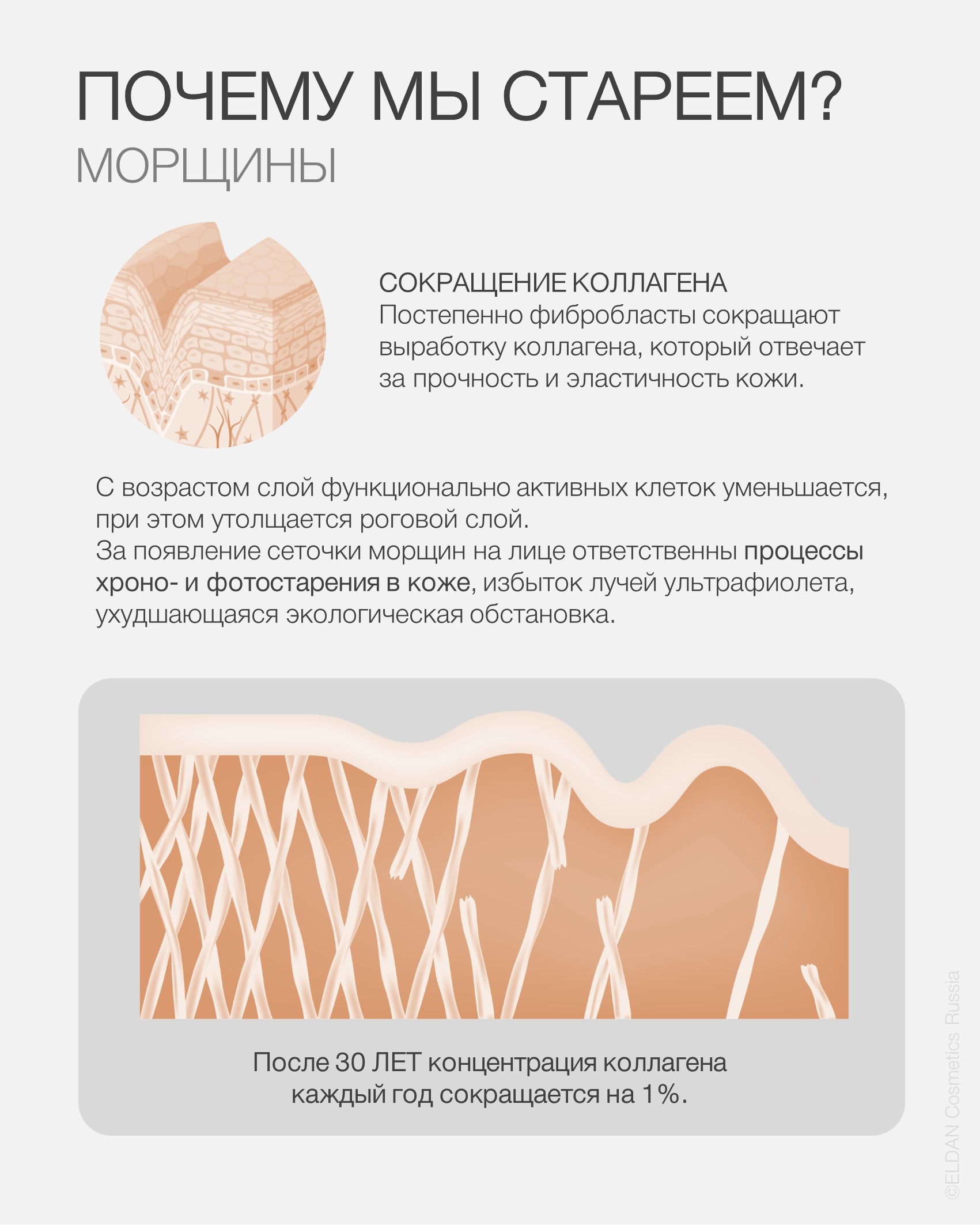 Пост как образуются морщины 3.jpg Пост как образуются морщины 3.jpg